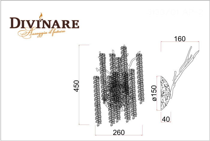 3133/01 AP-2 Divinare