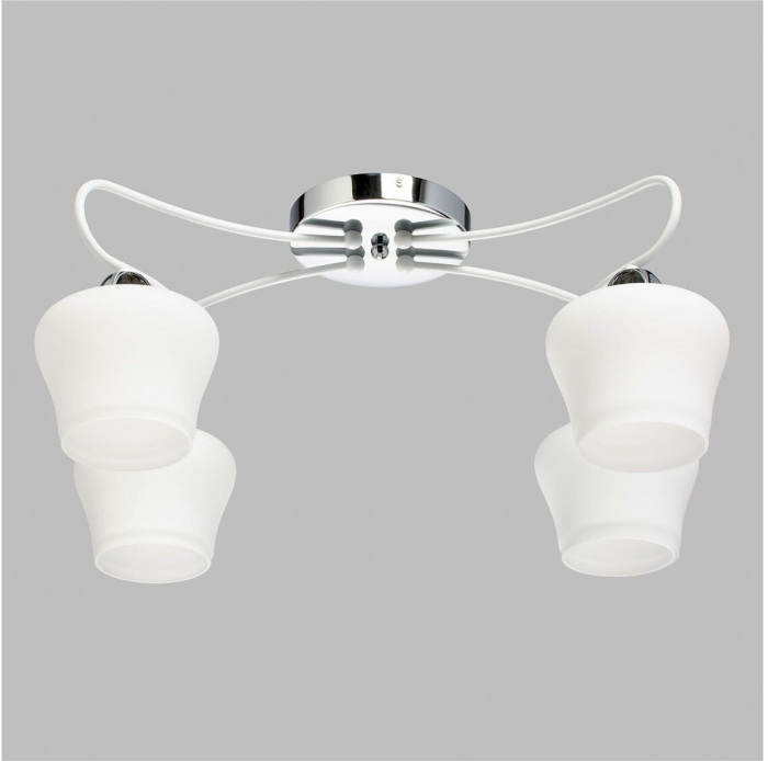 324017704 MW-Light