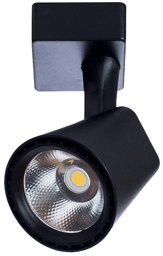 A1811PL-1BK Arte Lamp