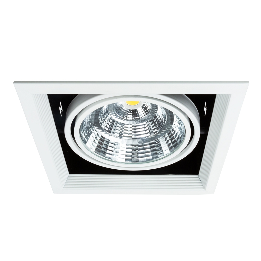 A8450PL-1WH Arte Lamp