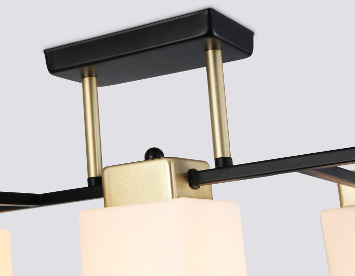 TR303048 Ambrella