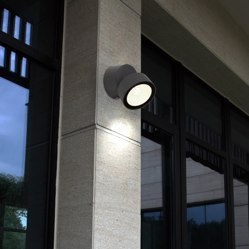 W6260 Gr Oasis Light