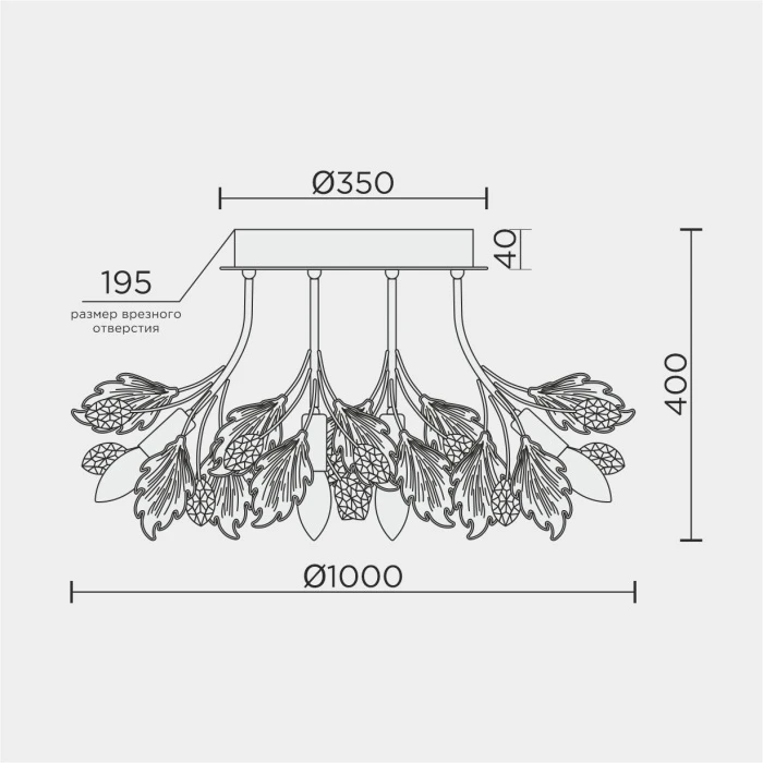 ML.6869.1000 GD Modelux