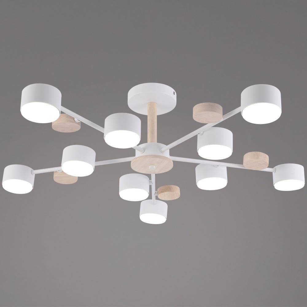 03758-0.3-10 WT+WOOD GX53_