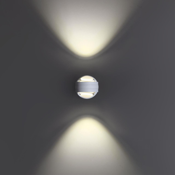 359303 Novotech