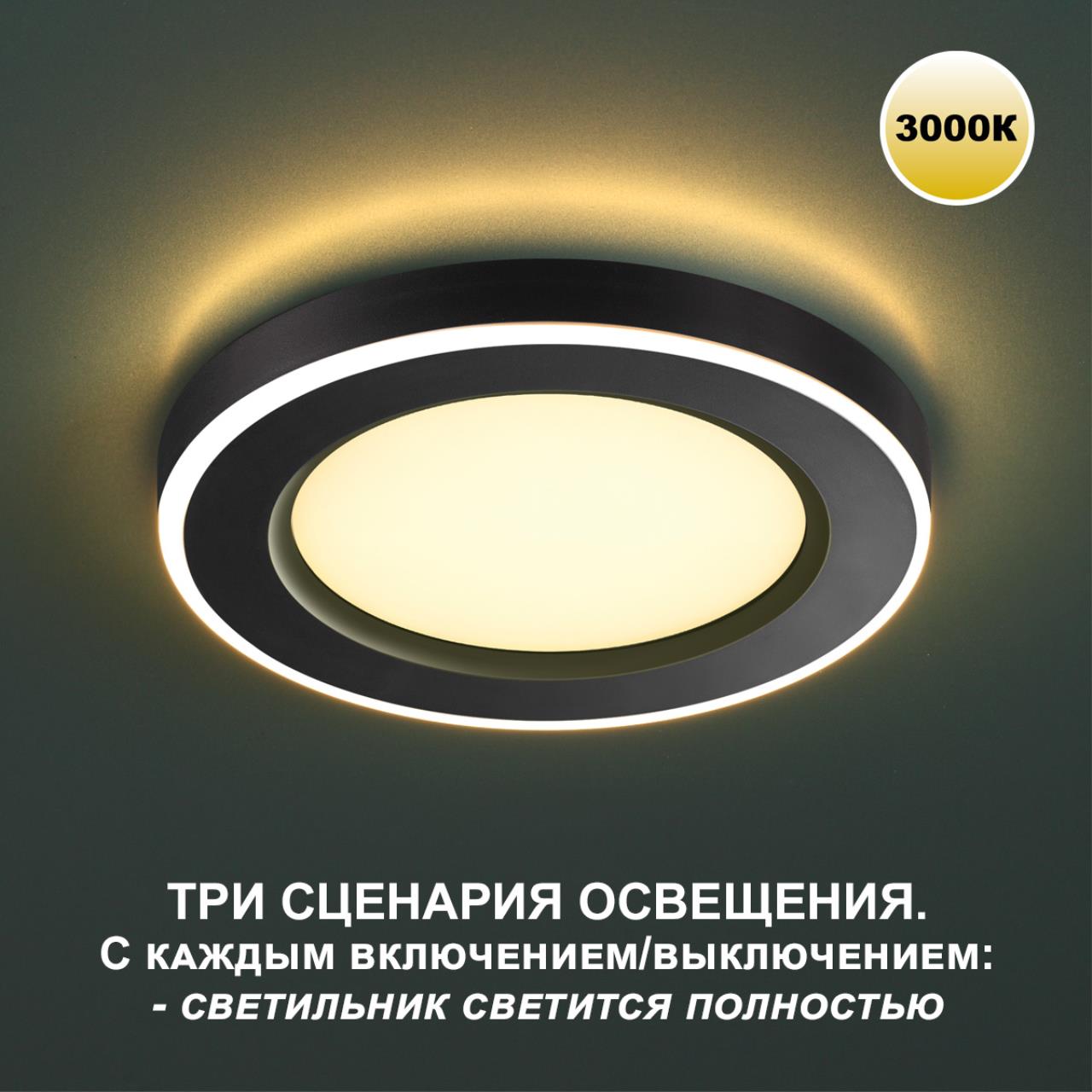 359023 Novotech