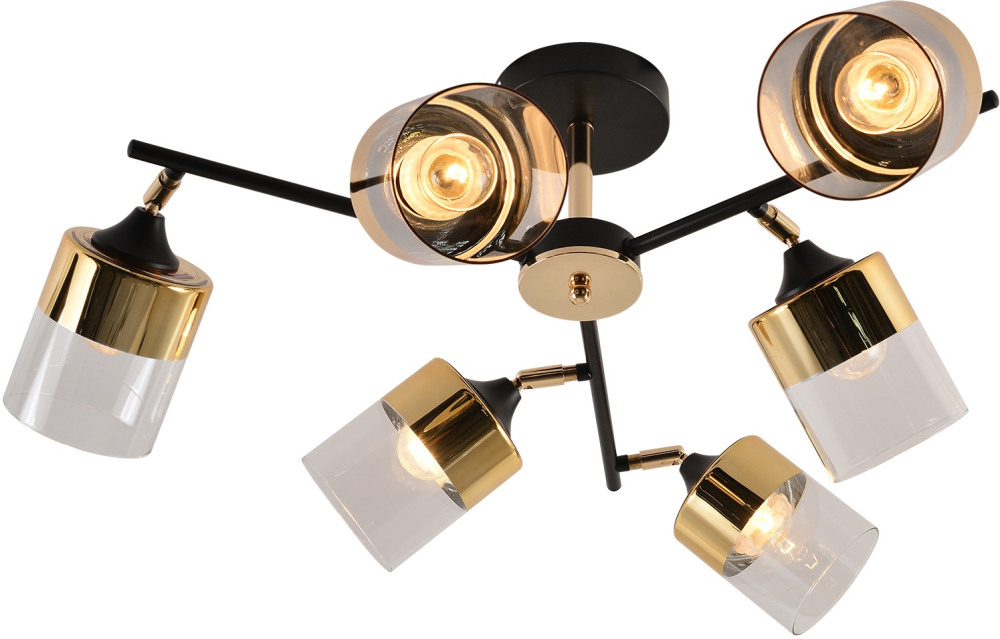 01555-3.3-06B BK+FGD_