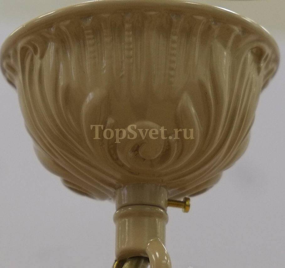 7305/6/MC PALE BROWN_