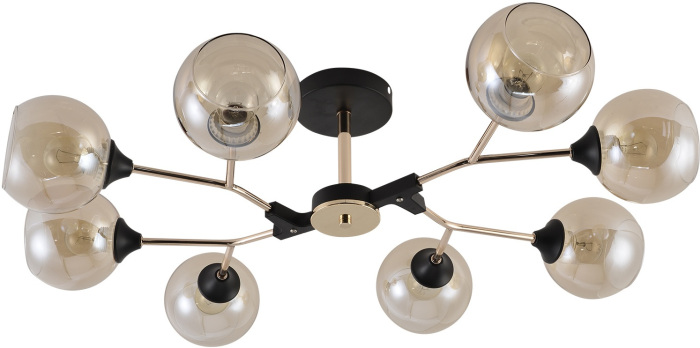 01483-0.3-08 BK+FGD_