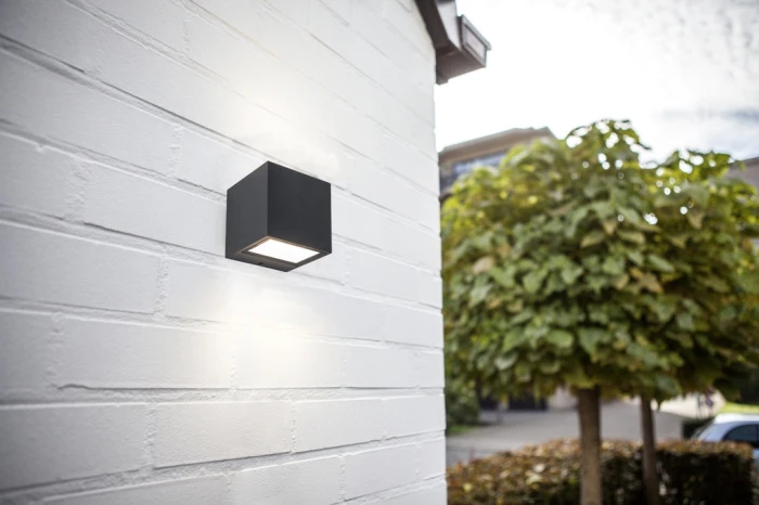 W1891 SS Gr Oasis Light