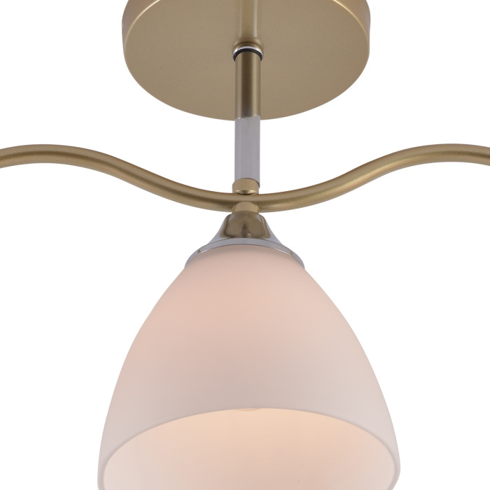 01643-0.3-03 GOLD+CR_