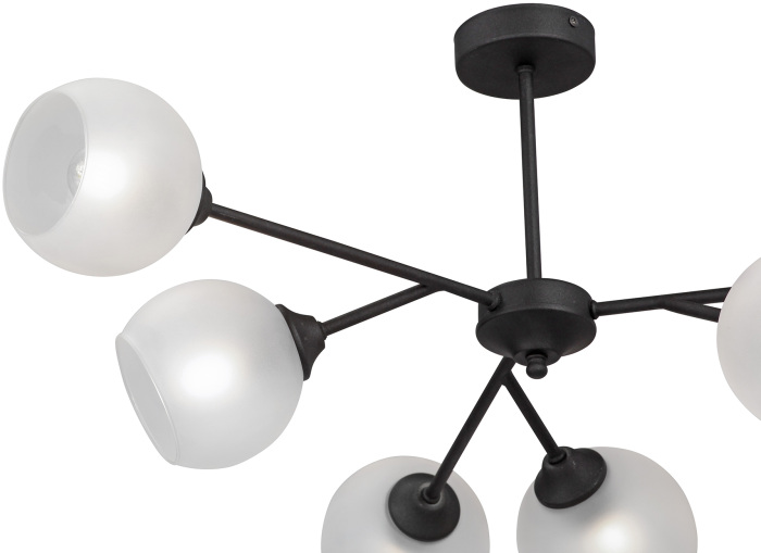 V3791-1/6PL Vitaluce