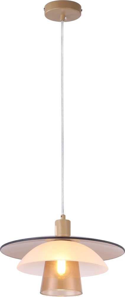 V11028-1P Moderli