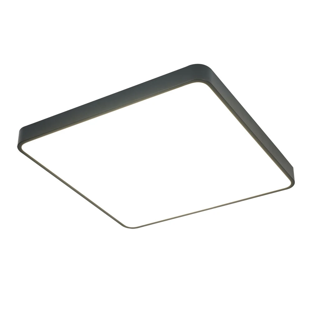 A2669PL-1BK Arte Lamp