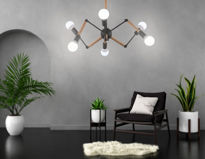 TR80488 Ambrella