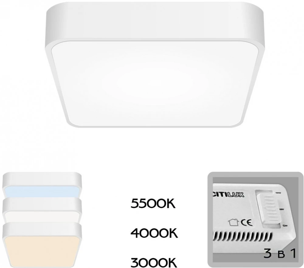 CL724K24V0 Citilux