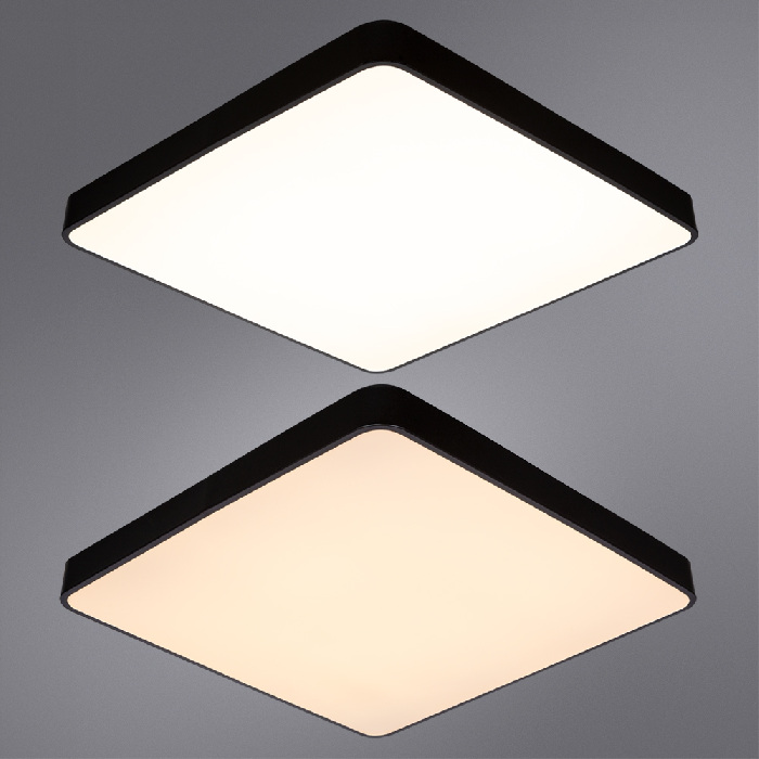 A2669PL-1BK Arte Lamp