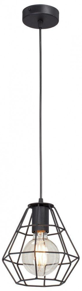 V4389-1/1S Vitaluce