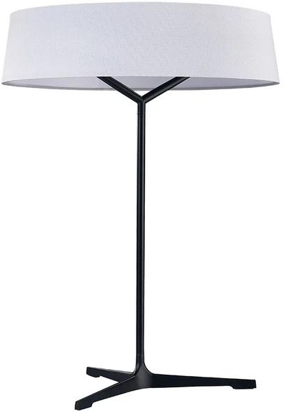 1029/06 TL-11 Divinare