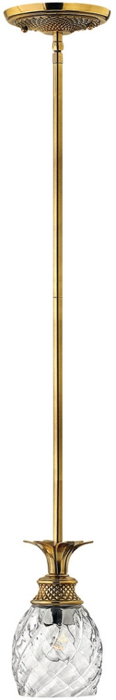 HK-PLANTATION-MP-BB_