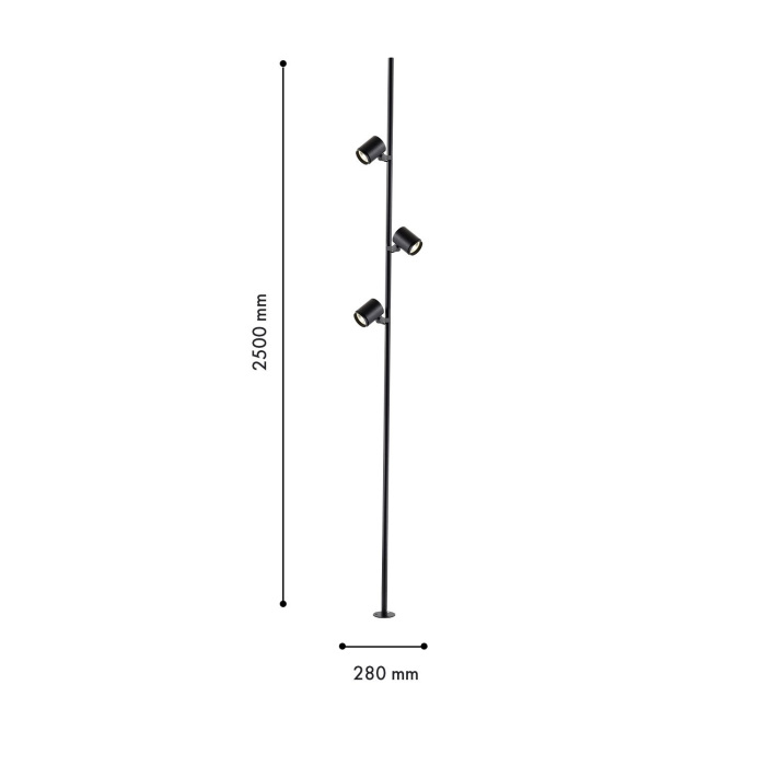 4638-3F Favourite