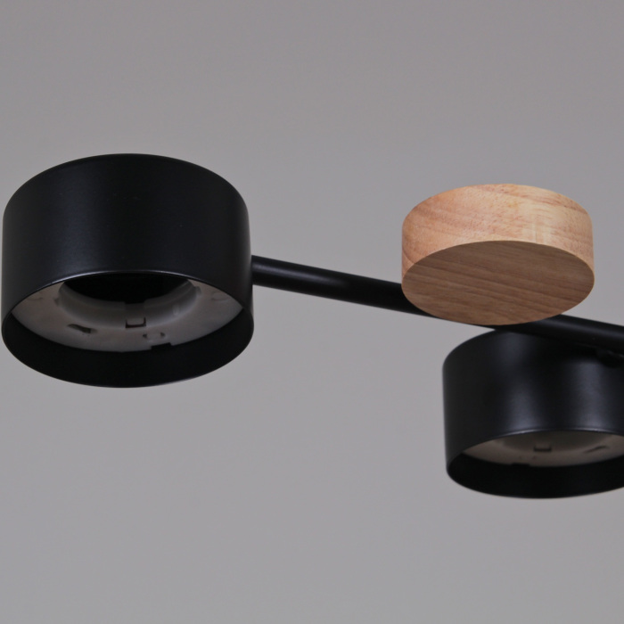 03758-0.3-10 BK+WOOD GX53_