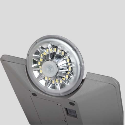 P9013 S Oasis Light