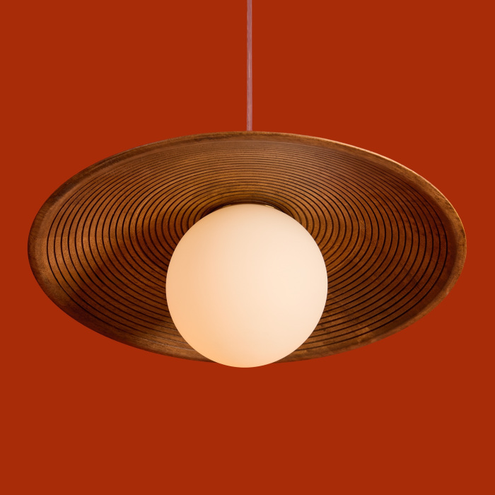FR5589PL-01T1
