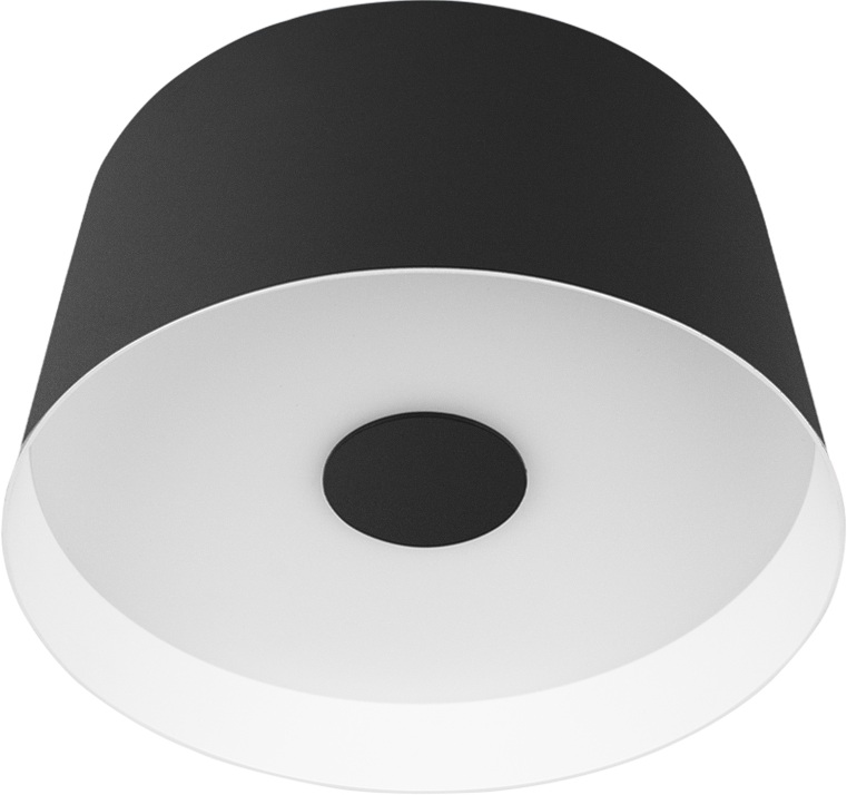 Потолочный светильник Duo 10360S Black Loft It