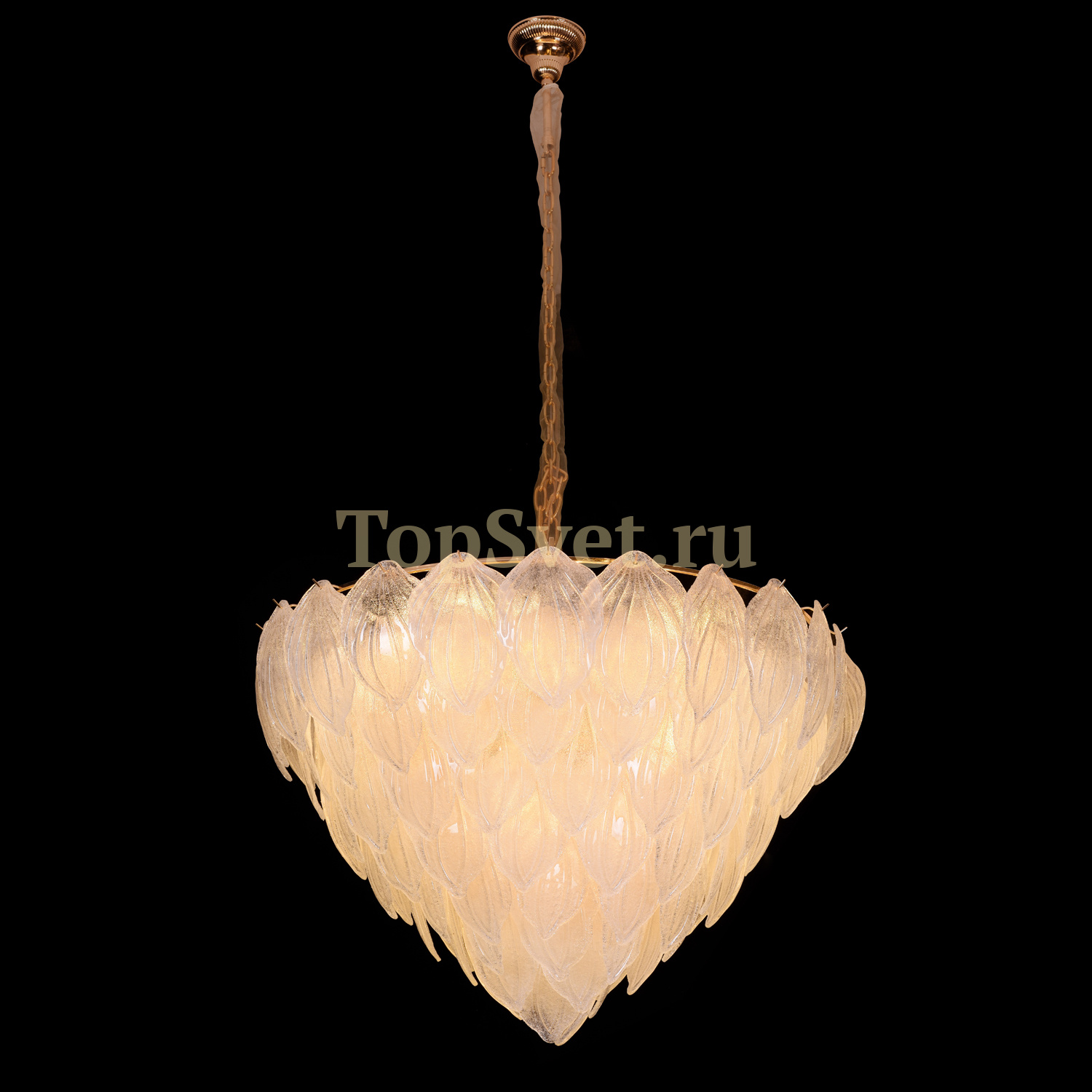 B014 L12 light gold Delight Collection