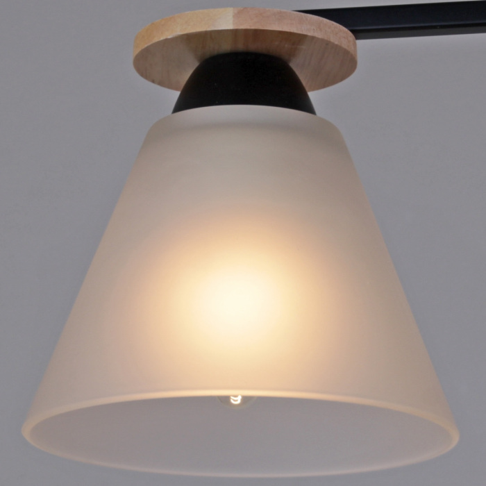 11630-0.3-03 BK+WOOD_