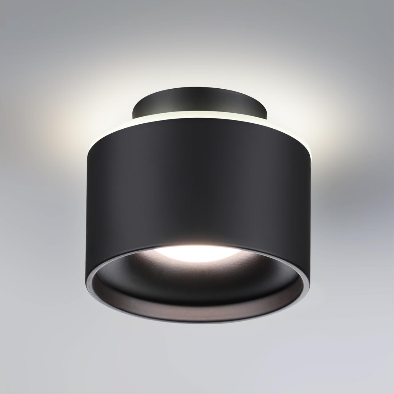 358971 Novotech