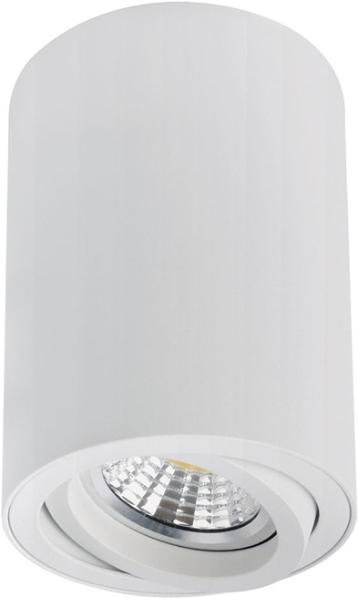 A1566PL-1WH Arte Lamp