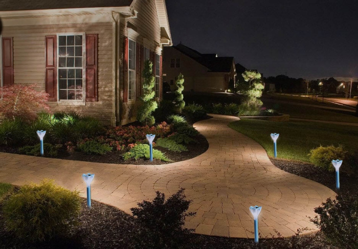 USL-C-418/PT305 Blue crocus_