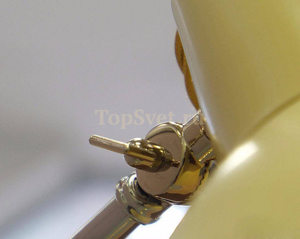 SF 615/1.26 GOLD+SENAPE_