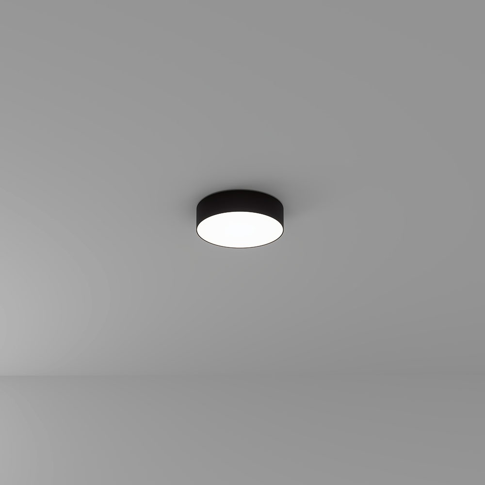 A6620PL-1BK Arte Lamp