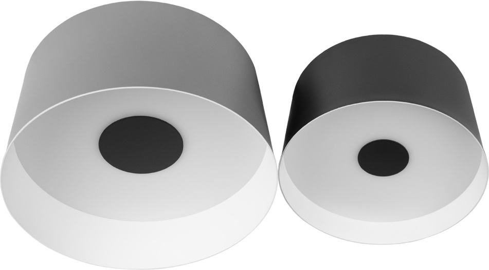 Потолочный светильник Duo 10360/2 Loft It