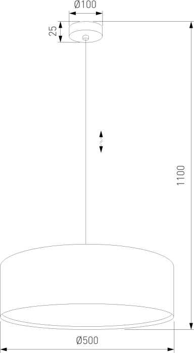 4654 Earth