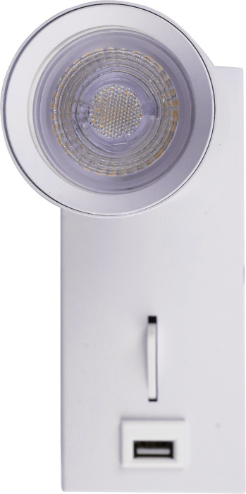 BR08081 Brizzi