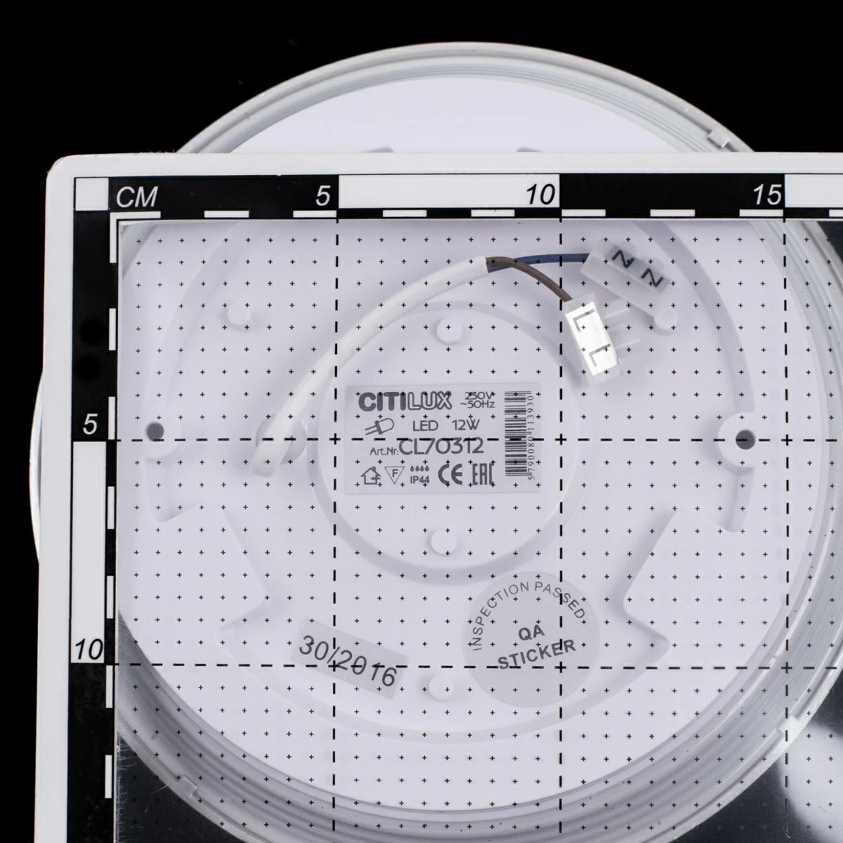 CL70313 Citilux