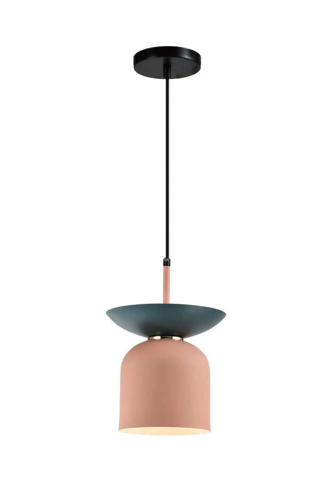 V11552-1P Moderli
