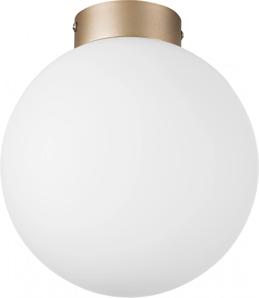 812023 Lightstar