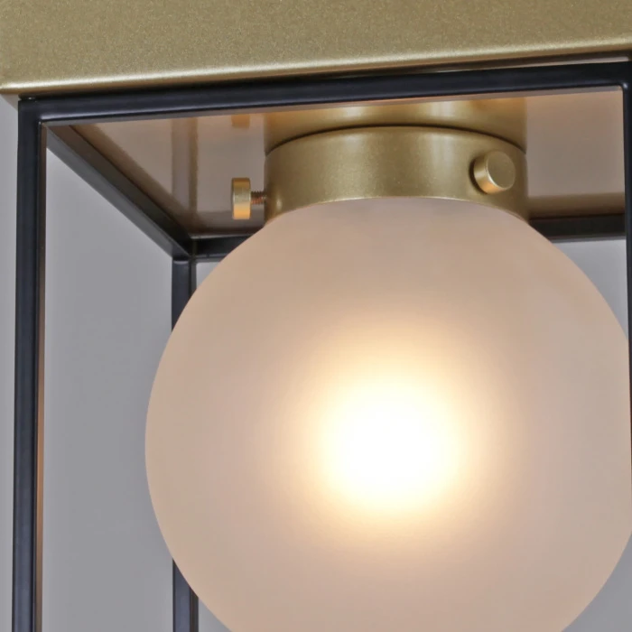 IL0050-1C-79 ILLUMICO