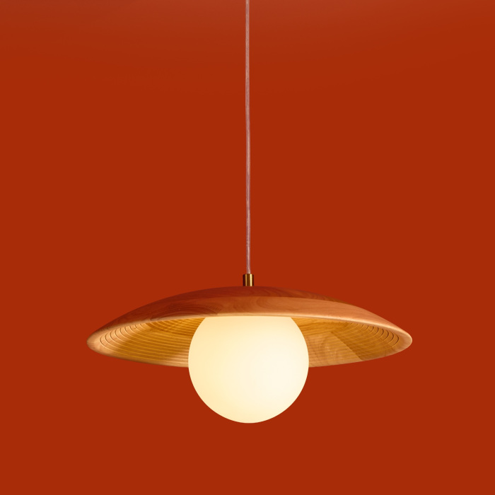 FR5589PL-01T