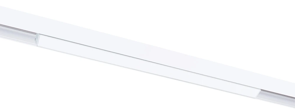 A4663PL-1WH Arte Lamp