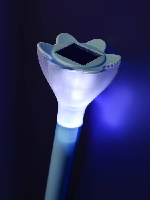 USL-C-418/PT305 Blue crocus_