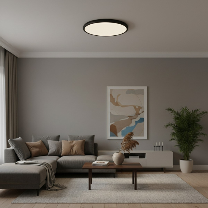 10454/500 Black Loft It