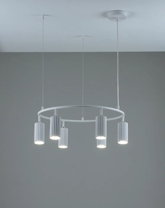 V11602-6P Moderli