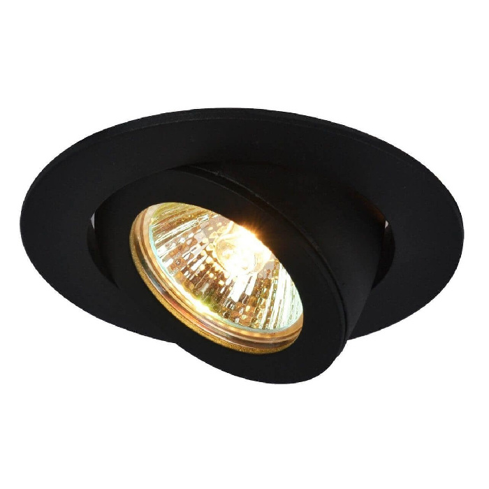 A4009PL-1BK Arte Lamp
