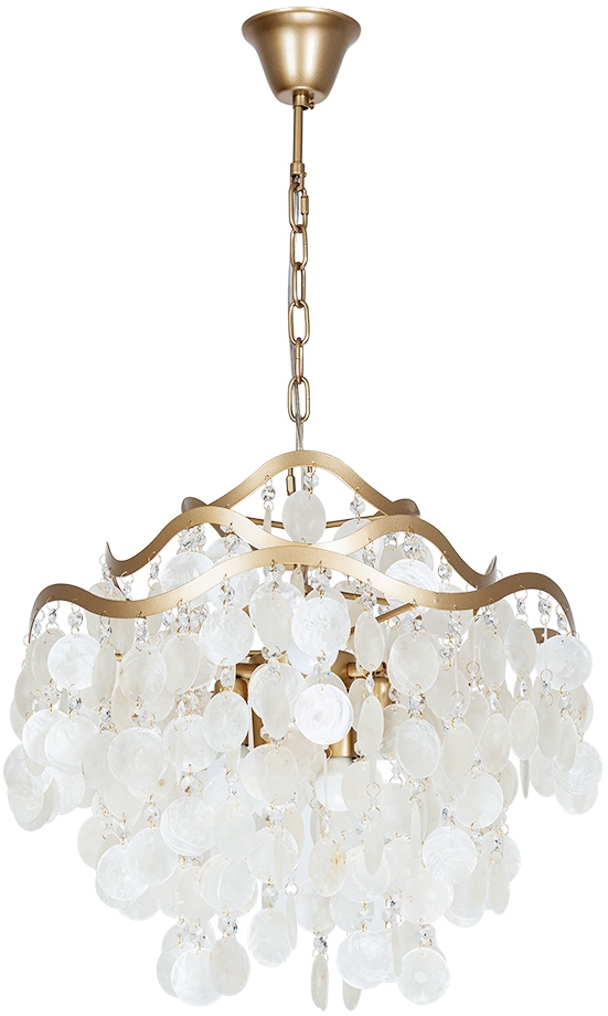 A4065SP-6SG Arte Lamp